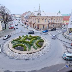 Občané z Plaškova bojují za záchranu zdravých lip před kácením