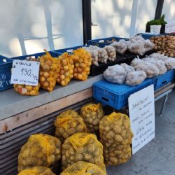 Zrekonstruované tržiště Pod Kaštany otevřeno