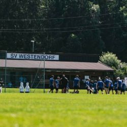 Plzeňští fotbalisté dokončují letní přípravy