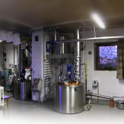 Úroda ovoce ve Zlínsku zdecimována