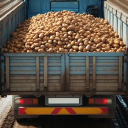 Zemědělci čelí nebývalému cenovému kolapsu