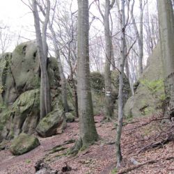 Chřiby: Objevte 15 km dlouhou stezku plnou přírodních krás a historie