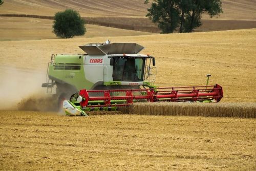 Foto: Deště ohrožují sklizeň: Řepka a pšenice v ohrožení na Vsetínsku