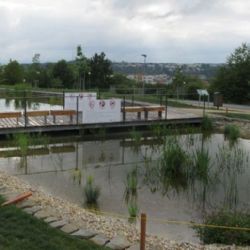 Biotop na Jižních Svazích snížil hladinu, dělníci opevňují břeh