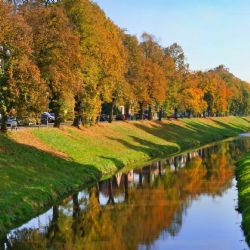 Město podpoří výsadbu ryb